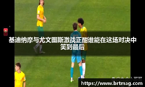 雷竞技raybet官网